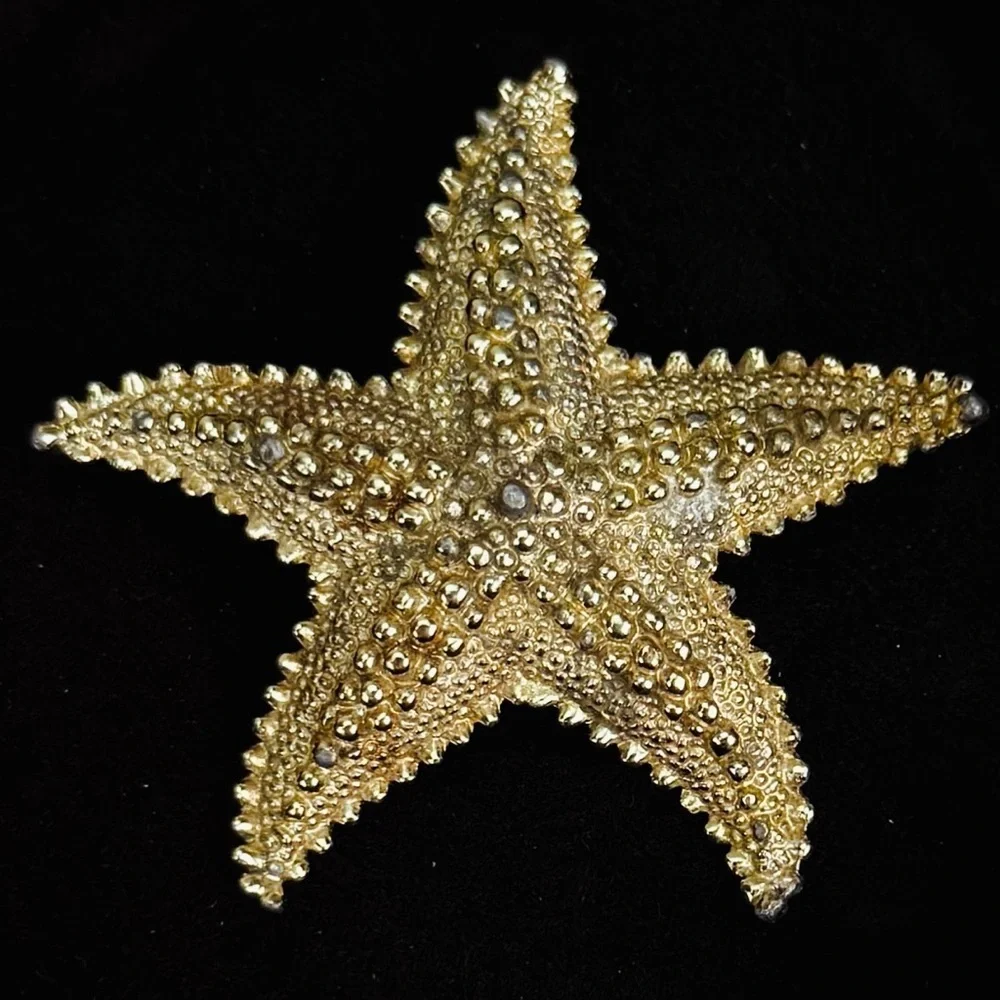 Vintage aged, goldtone raised Starfish Brooch Pin
